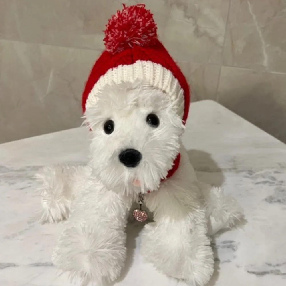 🐶 Knitted Pet Ski Hat 🐶